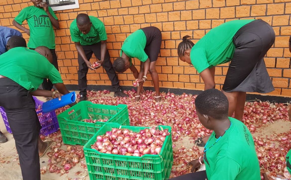 From School Farm to Market: Transforming Lives Through Agriculture