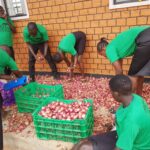 From School Farm to Market: Transforming Lives Through Agriculture